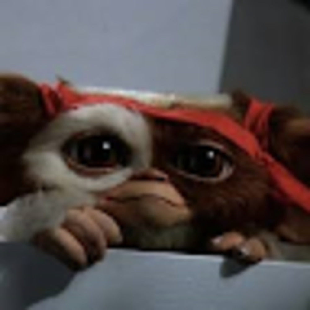 Meet your Posher, Gizmo